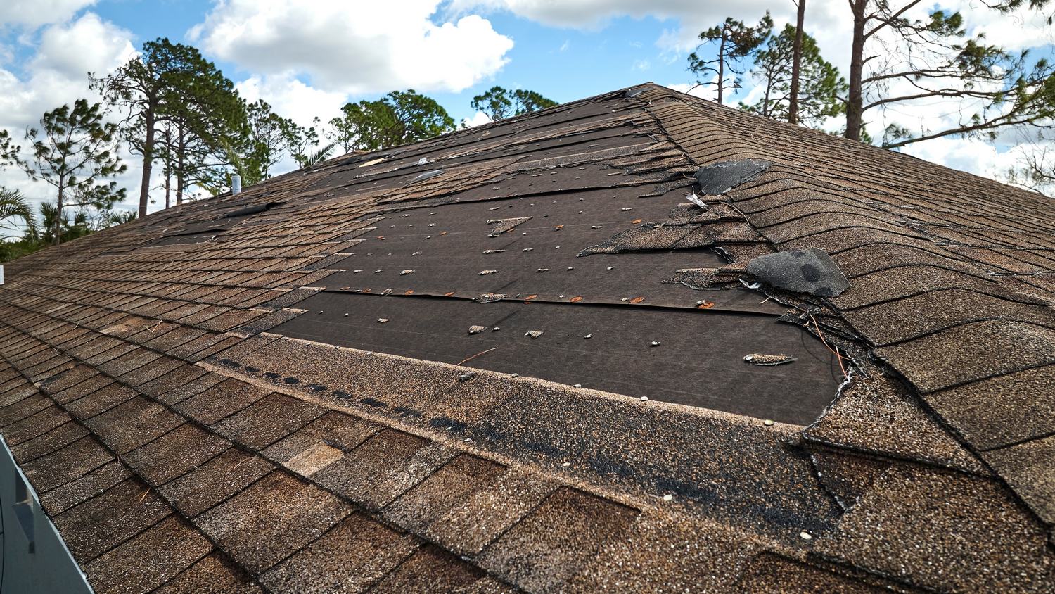 Understanding the Risks of Neglecting Your Roof Replacement